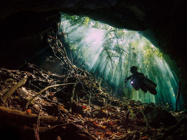 mexico-mangroves-cenote-diving_86767_990x742
