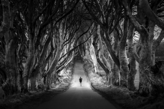 dark-hedges-of-northern-ireland-bregagh-road