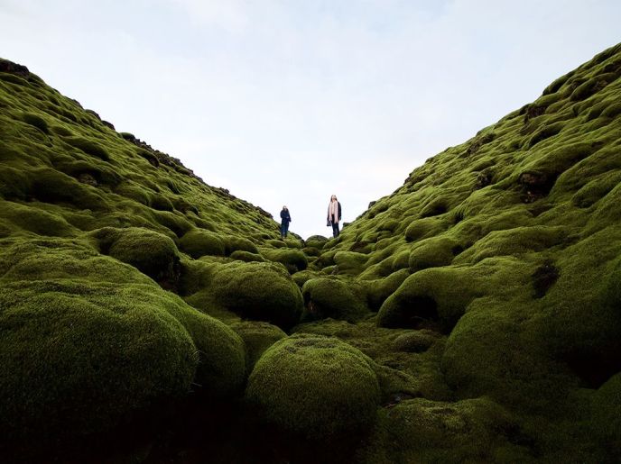 mossy-lava-iceland_94435_990x742